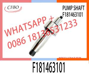 China For Bosch CP4 Pump Camshaft F181463101 For 0445020517 Fuel Pump factory