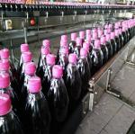 18000BPH Aerated Soda Water Bottle Filling Machine soda water filling machine