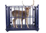 1000kg Livestock Weighing Scales