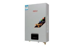 China Forced Exhaust Type Wall Hung Boilers 10L factory