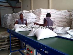China Bag Loading Conveyor factory