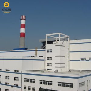 Customizable Steel Structure Shed with Galvanized C Purlin