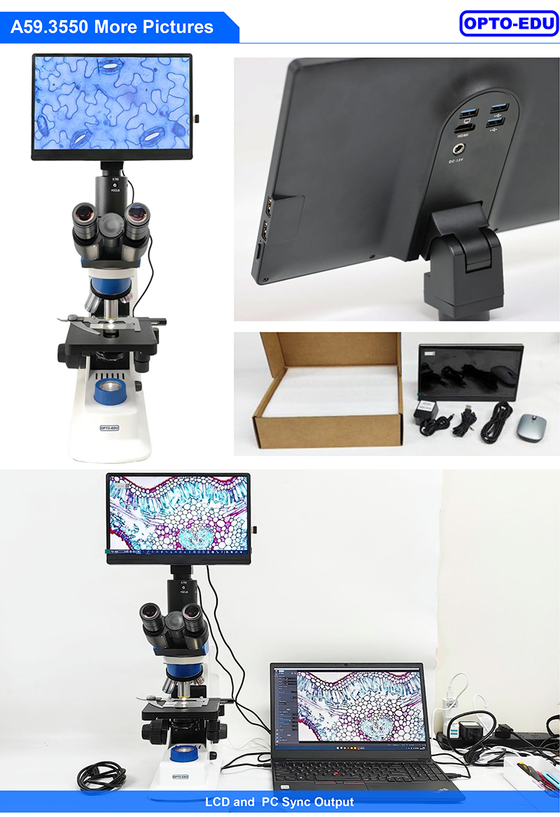 11.6" 8.0M Digital Microscope Camera with 4K 3840x2160 Resolution
