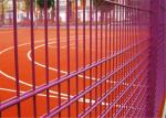 (manufacturer) Powder Coated Twin Wire Welded Mesh /Double Wire Mesh Fence