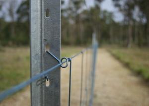 China OHSAS 18001 2007 Farm Star Picket Fence Posts factory