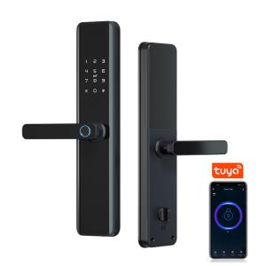 China TTlock Smart Home Door Lock M1 Door Access Control Anti-theft Lock Biometric Fingerprint Lock factory