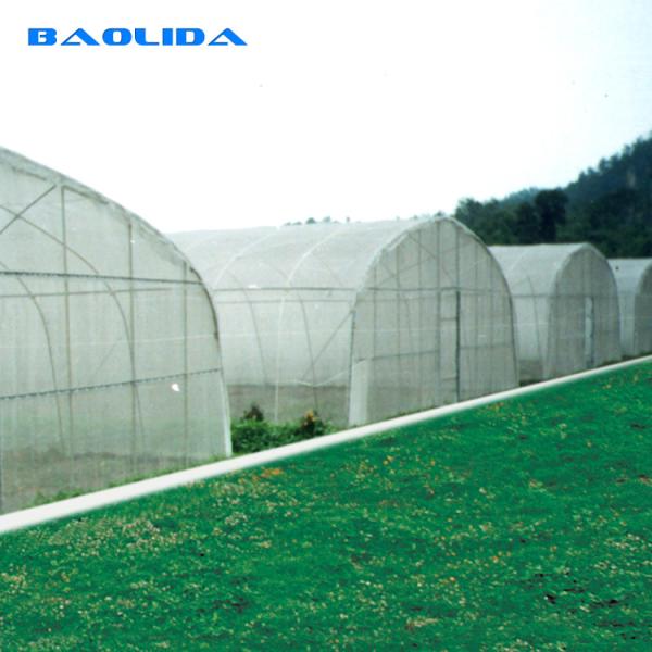 China Strong Tunnel Plastic Film Greenhouse Polyethylene Covering With Irrigation System factory