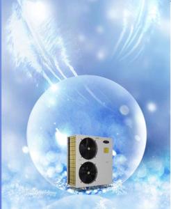 China 22KW Heat Pump EVI Enhanced Vapor Injection Heat Pump Low Noise factory