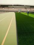 Crosslinked 8-20mm Shock Pad Underlay High Tensile Strength Water Resistance
