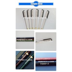 Automatic Laser Marking Machine With Customized Pen Modules