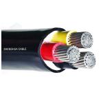 Superior Cu/PVC/PVC Cables for Enclosed Conduits