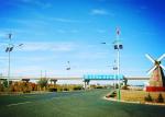High Efficiency Street Lights Powered By Solar And Wind Energy ISO9001