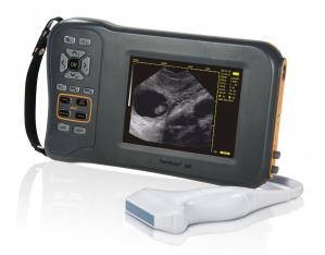 China Monochrome Display Veterinary Ultrasound Scanner L60 With 32 Digital Channels factory