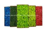 Environmental-Friendly Silk PE Faux Fake Moss Wall Art Panels 450g/Set