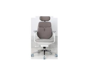 China Double Airbag Office Furniture Chair App Control Executive Ergonomic BIFMA factory