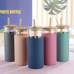 Spill Proof 500ml Colorful Outdoor Travel Glass Water Bottle With Straw Bamboo