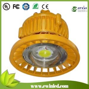 China 30W LED Explosion-proof Light with IP66 Protection Grade, COB High Brightness factory