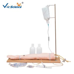 China Injectable Training Arm Model Medical Training Manikins Science Nursing Model factory