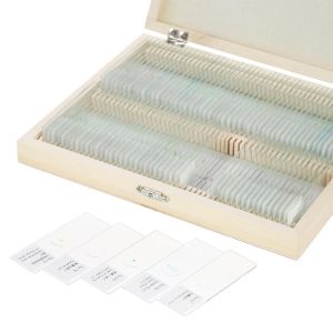 100pcs/set Prepared Microscope Slides Specimens Slides Set with Wooden Case