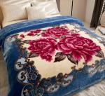2-3KG Warm Soft Comfortable Korean Double Player Raschel Blanket with Warmth