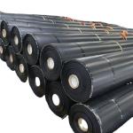 Direct Sale Geomembrane for Tailings Pond Highway Slopes Fish Ponds Free Spare