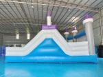 Hot Sale Inflatable Jumping House Frozen Cartoon Inflatable Slide For Party