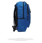 Various colors optional Promotional Cheap Backpack/High Quality leisure school