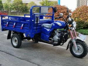 China 800W 3 Wheel Cargo Motorcycle factory