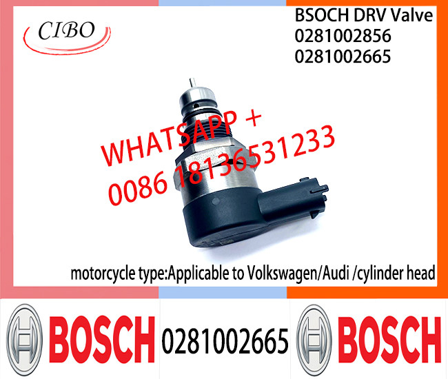 BOSCH DRV Valve 0281002665 Control Valve 0281002665 For Applicable to Volkswagen/Audi | cylinder head|