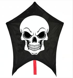 China Single Line Easy Carry Special Skull flying kite With Woven Roving Material and Fiberglass Frame factory