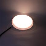 Resin Filled LED PAR 56 Pool Light 25W 40W 55W AC12V