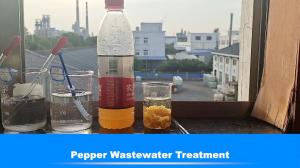 China 50% Food Process Pepper Bluwat Decoloring Agent Wastewater Treatment factory