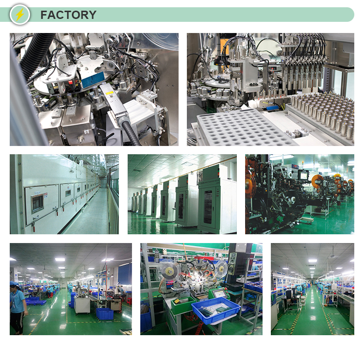 Customized Li Polymer Battery Cell Rechargeable OEM LP-454965-2P-3M 3.7V 3000mAh