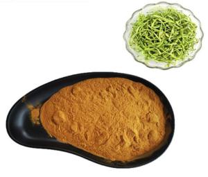 China Honeysuckle Flower Plant Extracts Chlorogenic Acid 5% Anti Virus factory