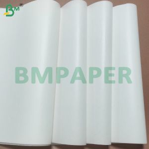 Biodegradable Food Safe Cupcake Paper Sheets with Silicone Coated