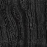 ISO9001 Polished Porcelain Floor Tiles Black Wood Turtle Interior Tiles