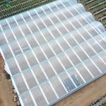 SAINPOLY Agriculture Greenhouse Hydroponics Greenhouse Steel Frame Weather Proof