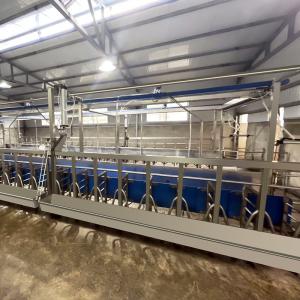 China SUS304 Goat Herringbone Milking Parlor Feeding Trough Quick Exit Type Pipeline on sale