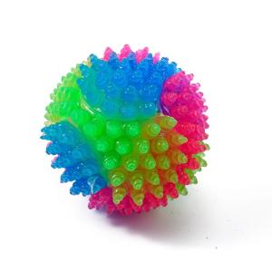 China Pet Supplies Dog Toys TPR Elastic Ball Luminous Molar Toys Educational Interactive Pet Toys factory