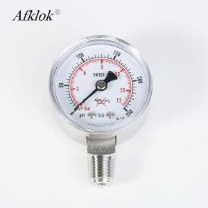 1.6% Precision Gas Pressure Test Gauge for -20- 80C Environment Temperature and