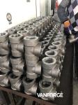 Hexagon Head Male Threaded Pipe Fittings , Stainless Steel Forged Fittings