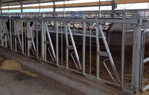 China Anti Rust Self Locking Head Gates , Portable Livestock Fence Panels factory