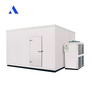 2.8x2x2.2m Mini Portable Cold Storage Room with Aluminum T-Bar Floor and MGSS