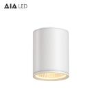 Exteriror dimmable 30w led downlight&outdoor led downlight&ip65 surface mount