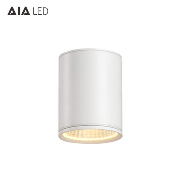 Exteriror dimmable 30w led downlight&outdoor led downlight&ip65 surface mount