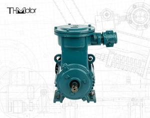 China Flameproof Motors ExdI Mb YB3 Petroleum Industry Motors factory