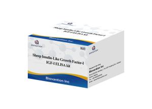 China Sheep Igf1 Elisa Kit Insulin Like Growth Factor I Somatomedin factory