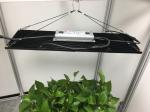 240W 660nm Quantum Board Led Grow Lights