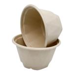 Eco Friendly Compostable Sugarcane Bagasse 750ml Takeaway Bowls With Lids