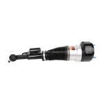 Top Selling 2213201838 2213200538 Shock Absorber and Strut Assembly for Benz 221